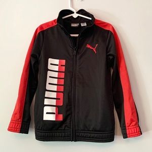 Puma